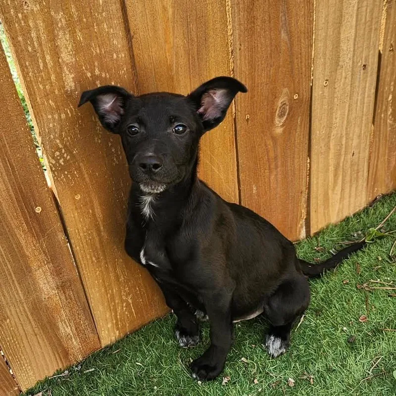 Titus Jum thumbnail 3