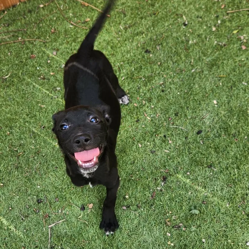 Titus Jum thumbnail 4