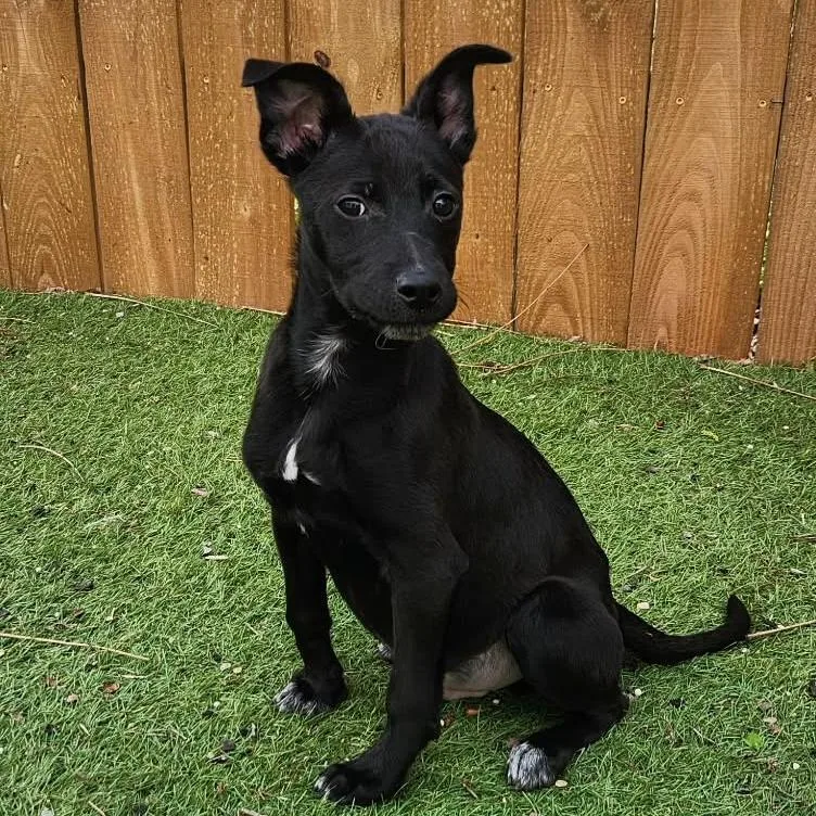 Titus Jum thumbnail 5