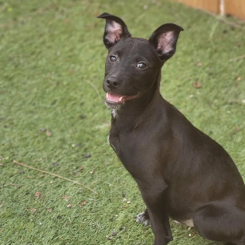 Titus Jum thumbnail 6