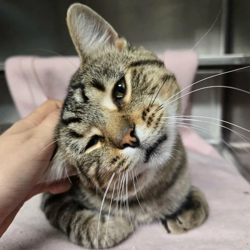 AlexAt Petco thumbnail 2