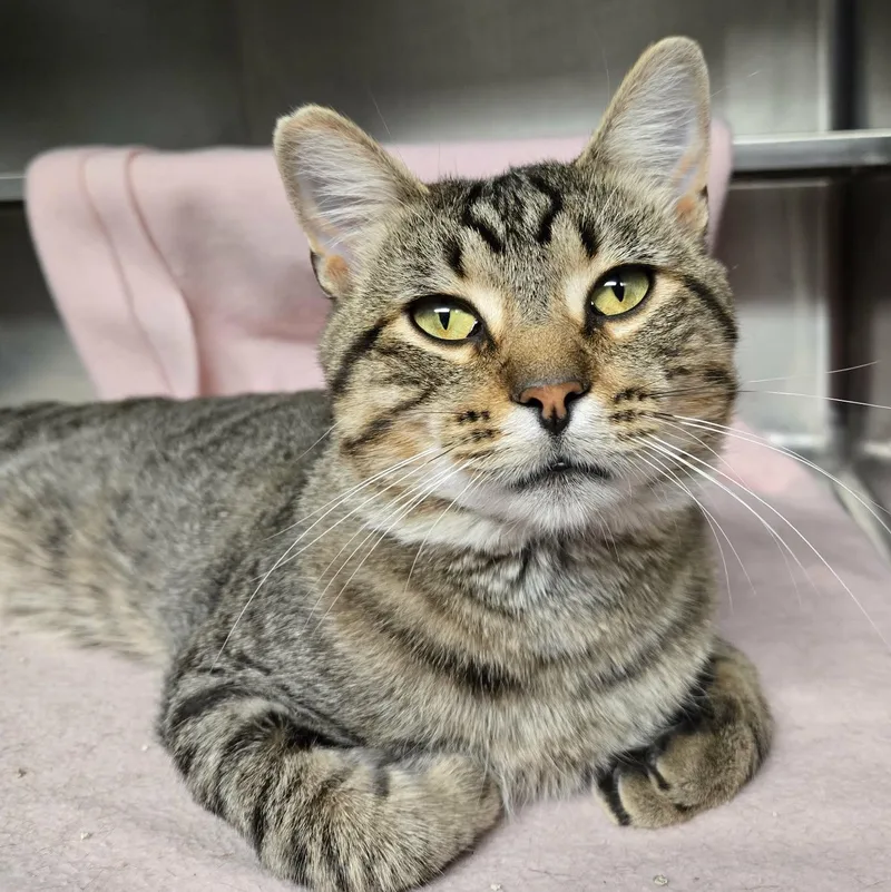 AlexAt Petco thumbnail 3