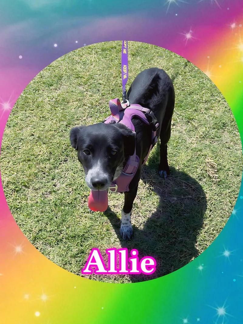 Awesome Allie thumbnail 2