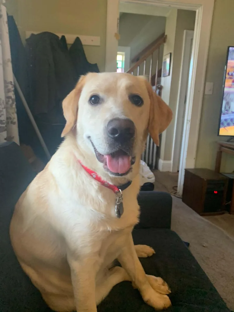 Nala thumbnail 2