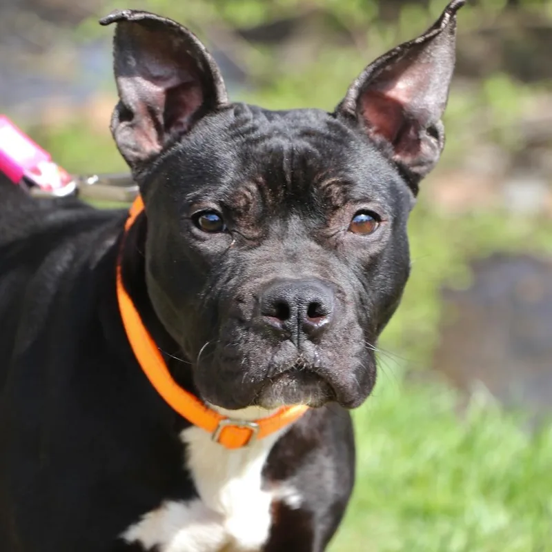 Wednesday thumbnail 2