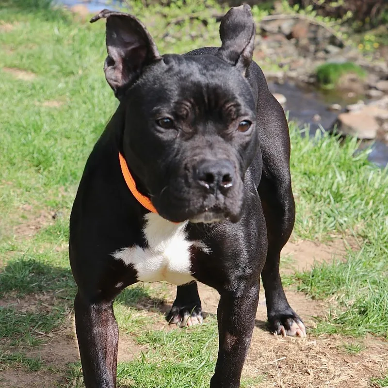 Wednesday thumbnail 3