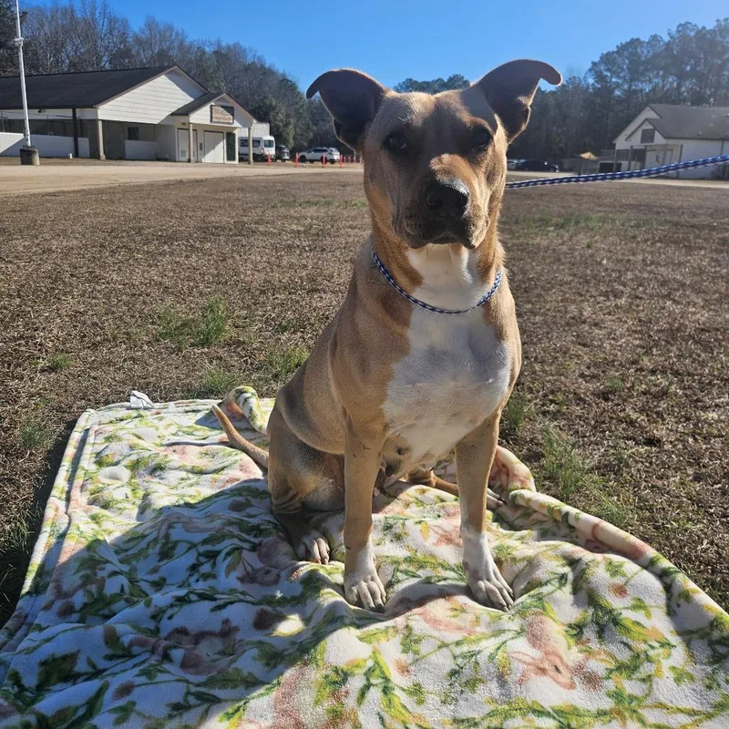 Cha Cha Slide thumbnail 3