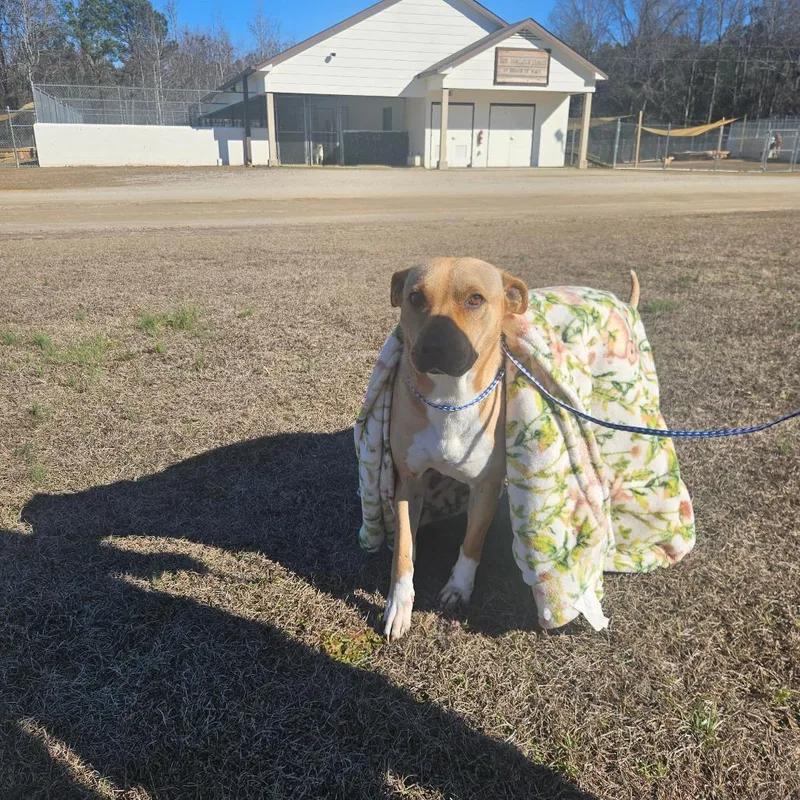 Cha Cha Slide thumbnail 4