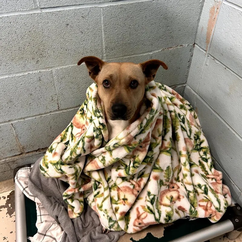 Cha Cha Slide thumbnail 5