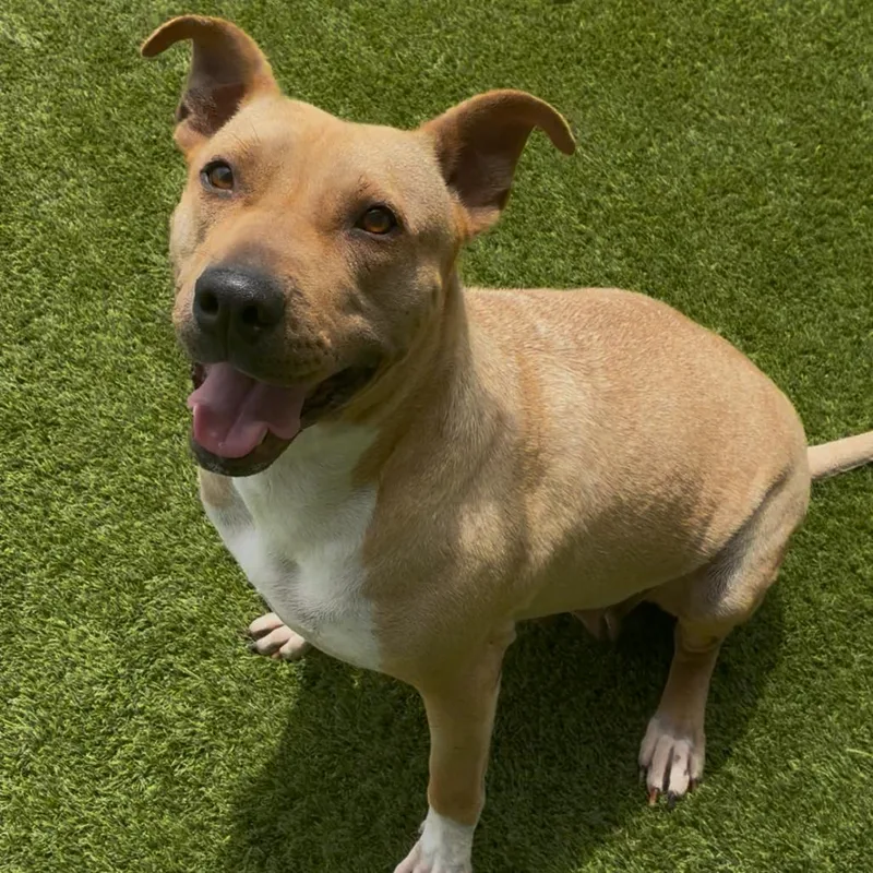 Cha Cha Slide thumbnail 6