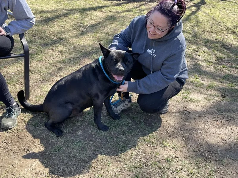 Bruno Aka Mr. Woowoo