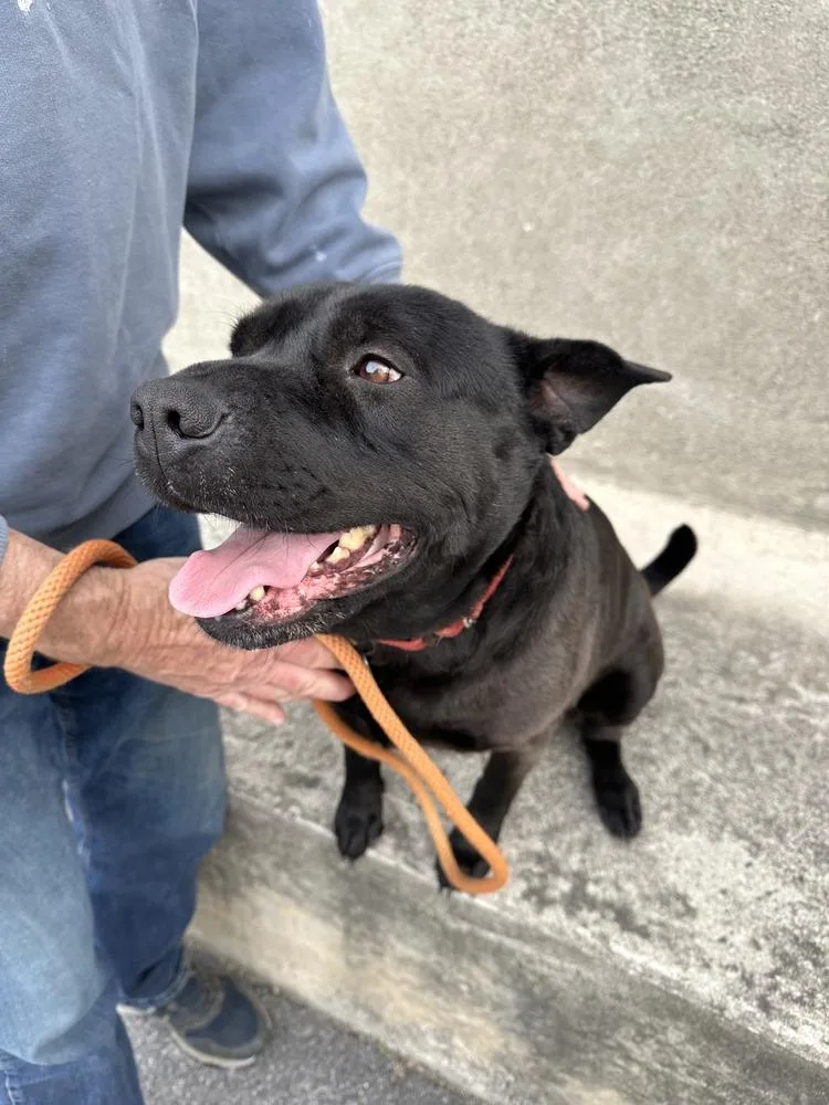 Bruno Aka Mr. Woowoo thumbnail 4