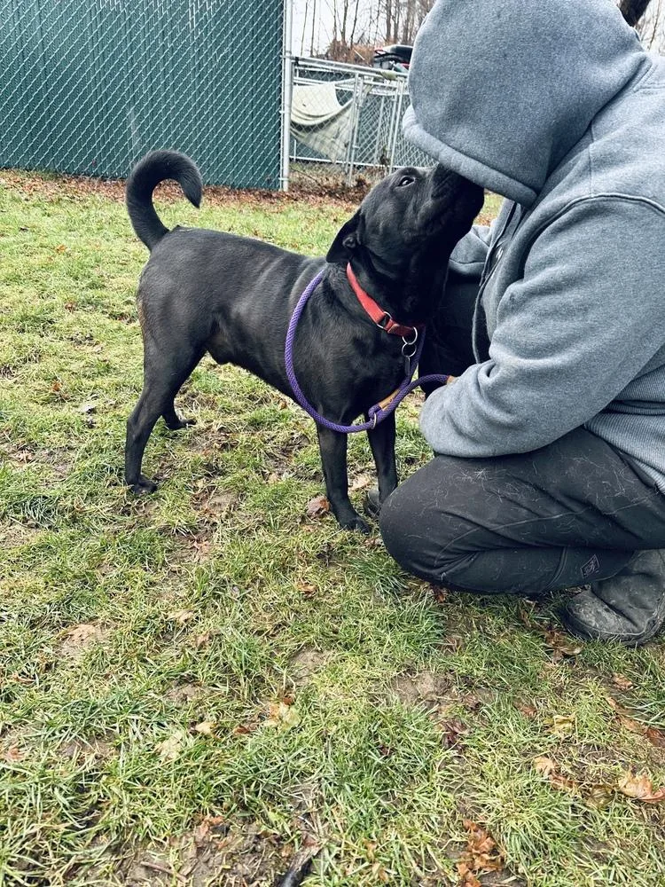 Bruno Aka Mr. Woowoo thumbnail 5