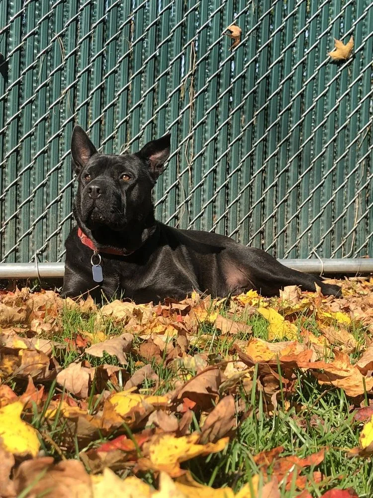 Bruno Aka Mr. Woowoo thumbnail 6