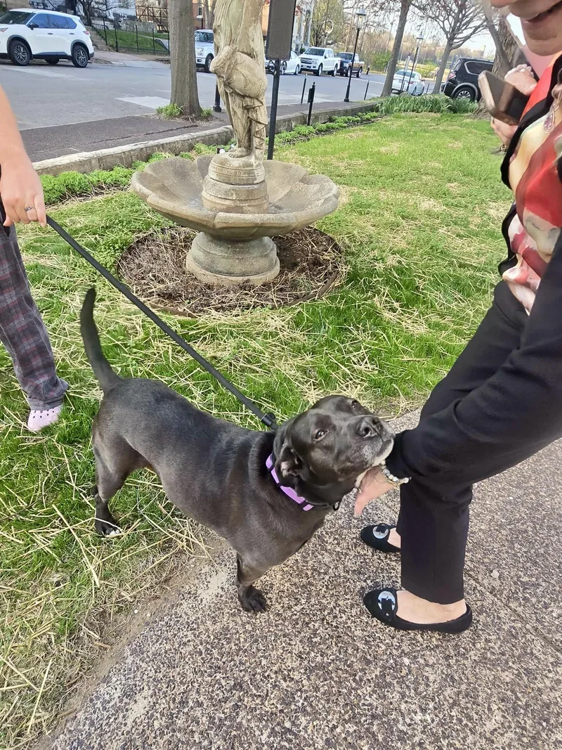 Lady Bird thumbnail 4