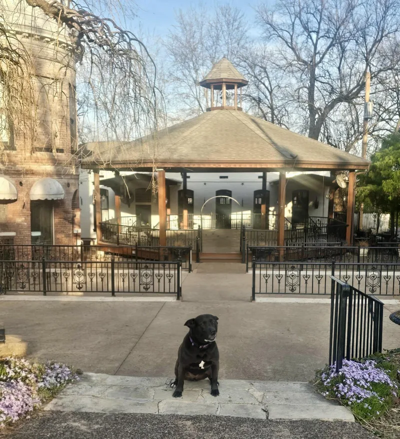 Lady Bird thumbnail 5