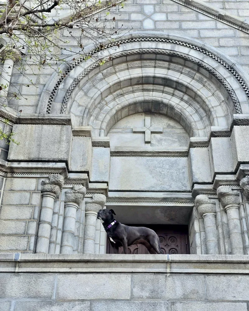 Lady Bird thumbnail 6