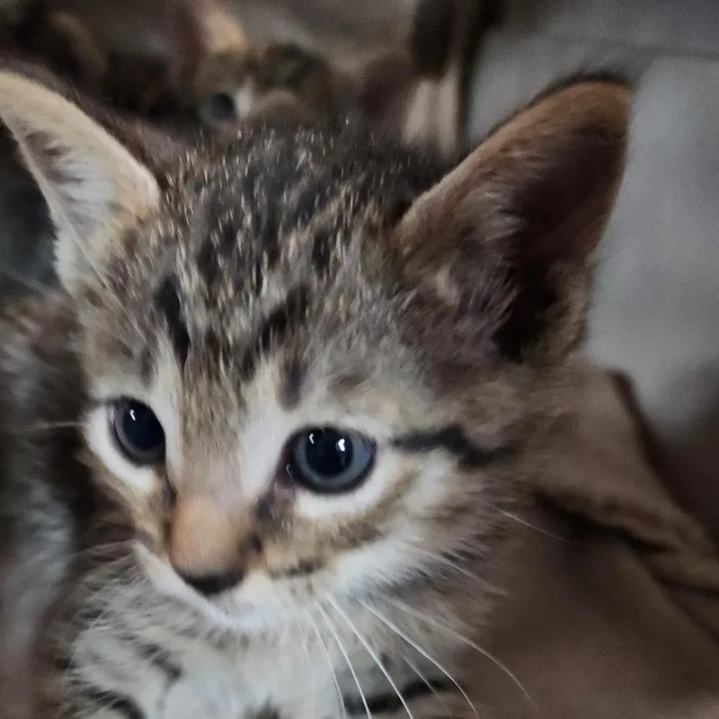 Zuri K thumbnail 2