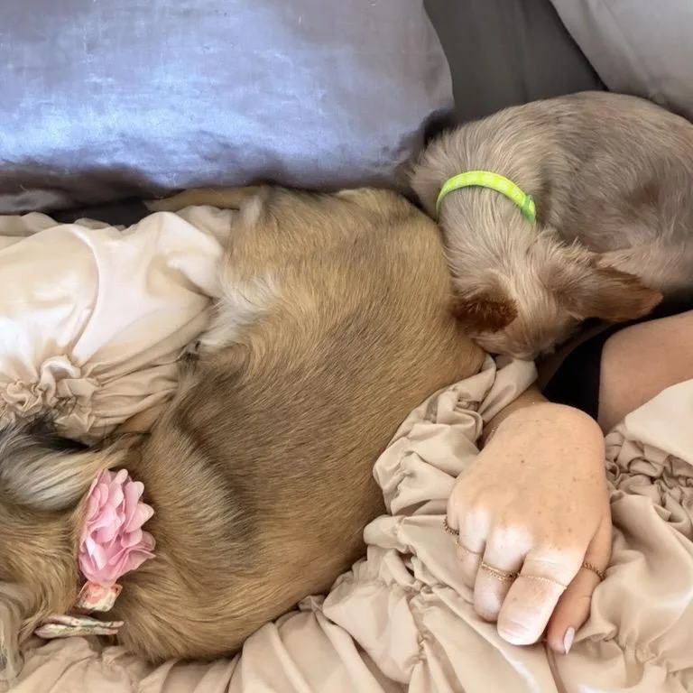 Charlie Barkin thumbnail 3