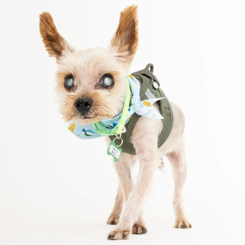 Charlie Barkin thumbnail 5