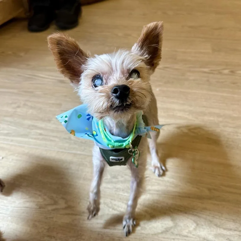 Charlie Barkin thumbnail 6