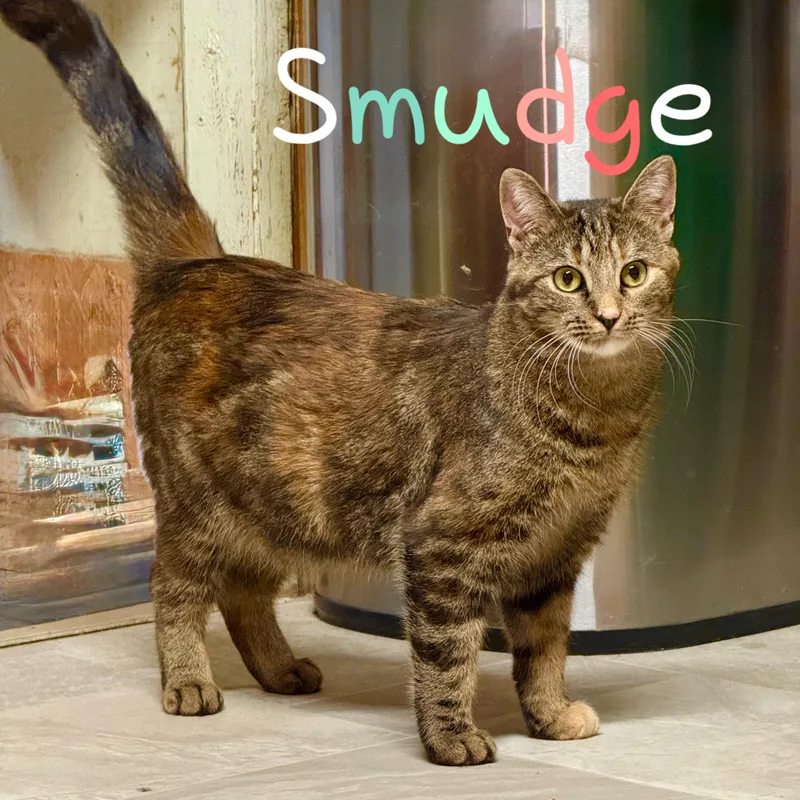 Smudge thumbnail 2