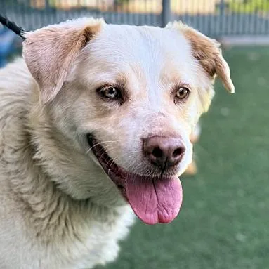 Stevie Nicks thumbnail 2