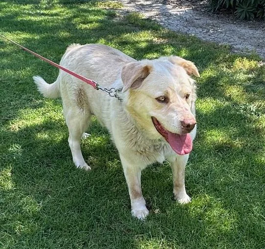 Stevie Nicks thumbnail 3