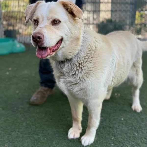 Stevie Nicks thumbnail 6