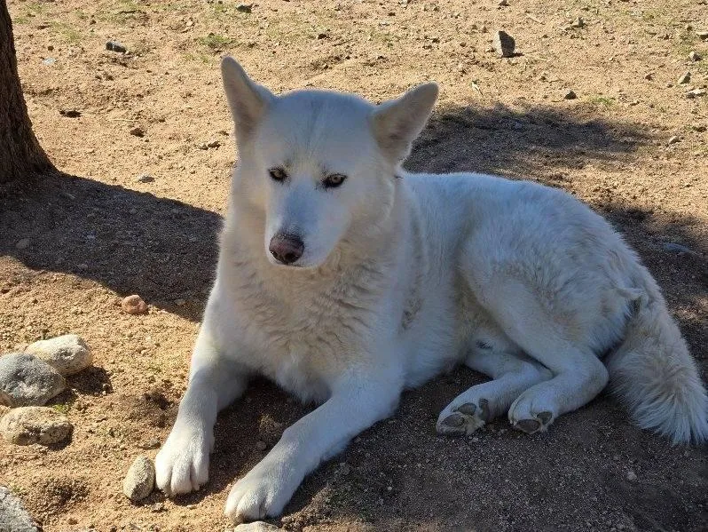 Frosty  The Snowman thumbnail 2