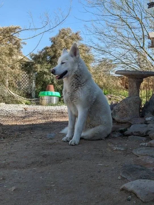 Frosty  The Snowman thumbnail 3