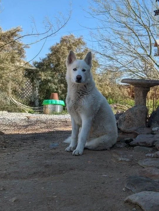 Frosty  The Snowman thumbnail 4