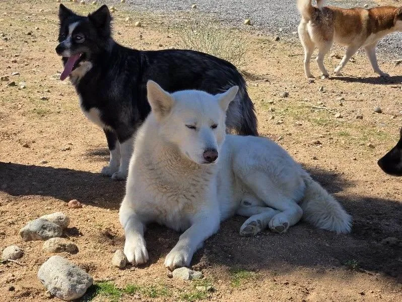 Frosty  The Snowman thumbnail 6