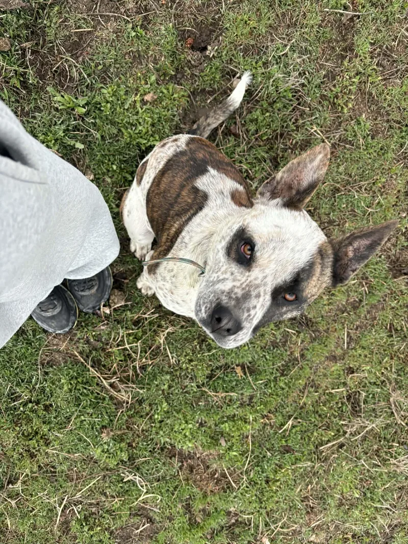 Girlfriend thumbnail 2