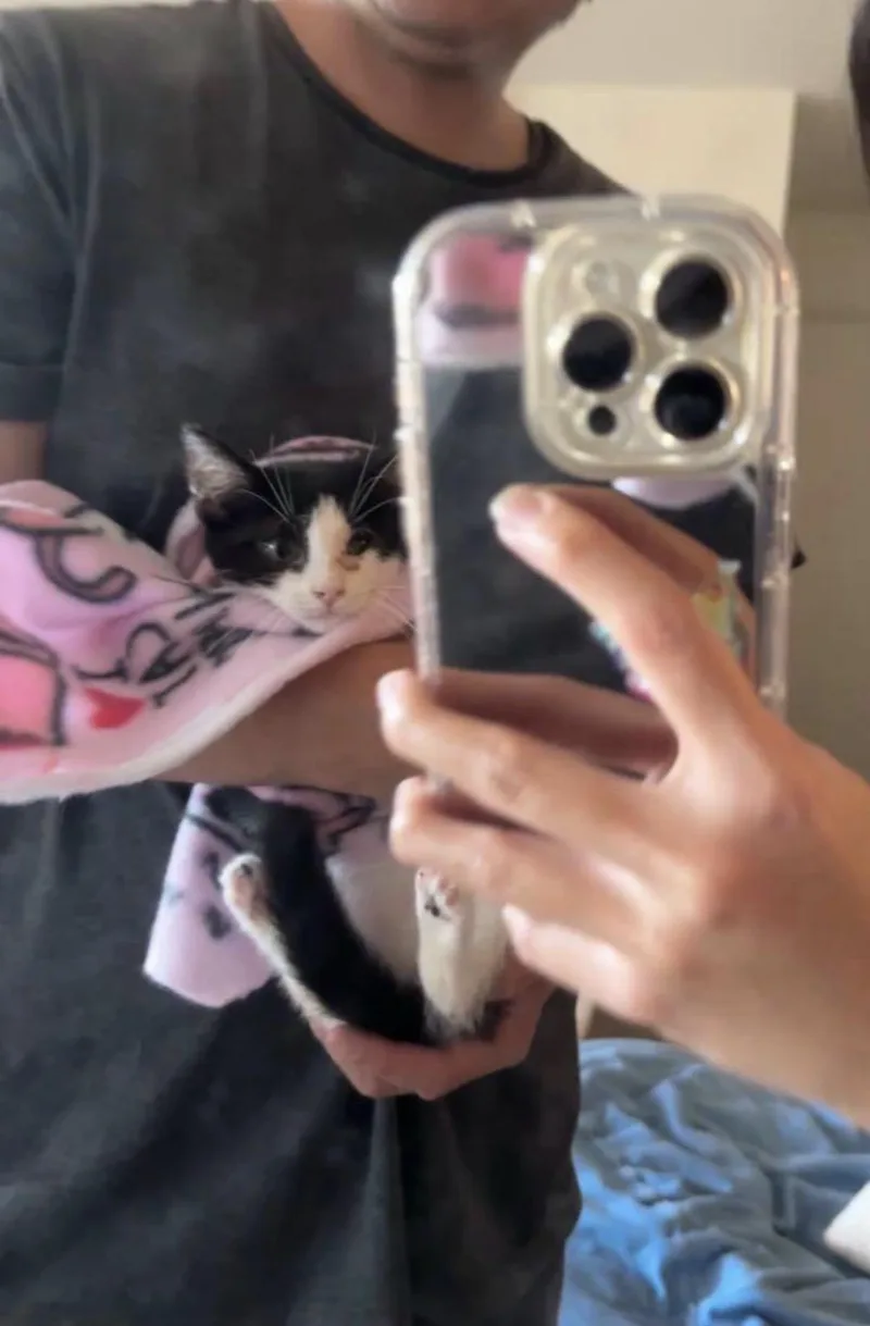 Sniffles thumbnail 4