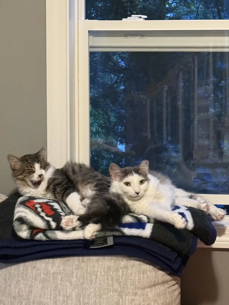 Bonnie & Benji