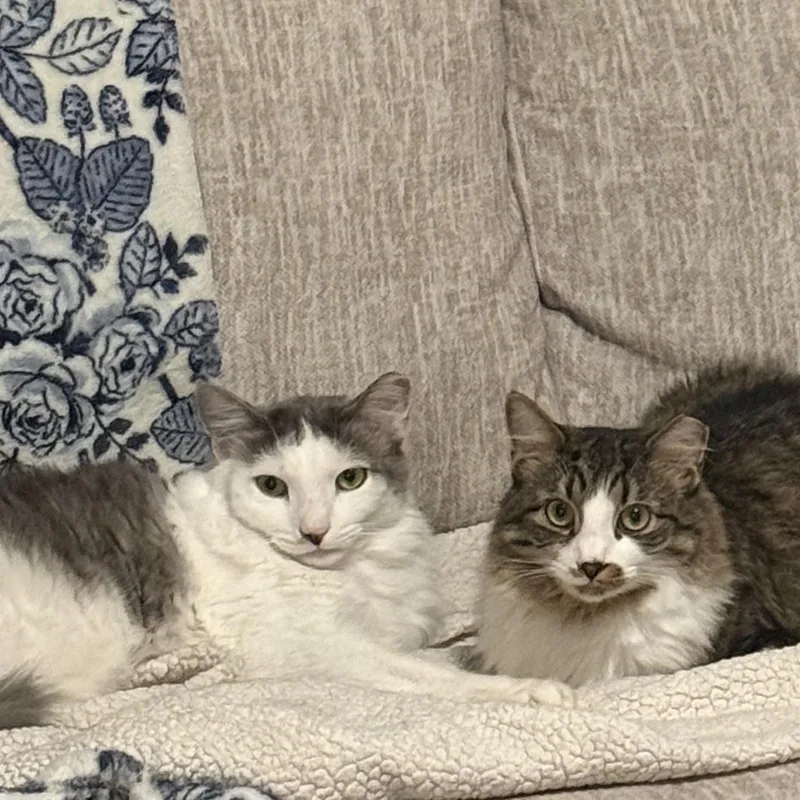 Bonnie & Benji thumbnail 2