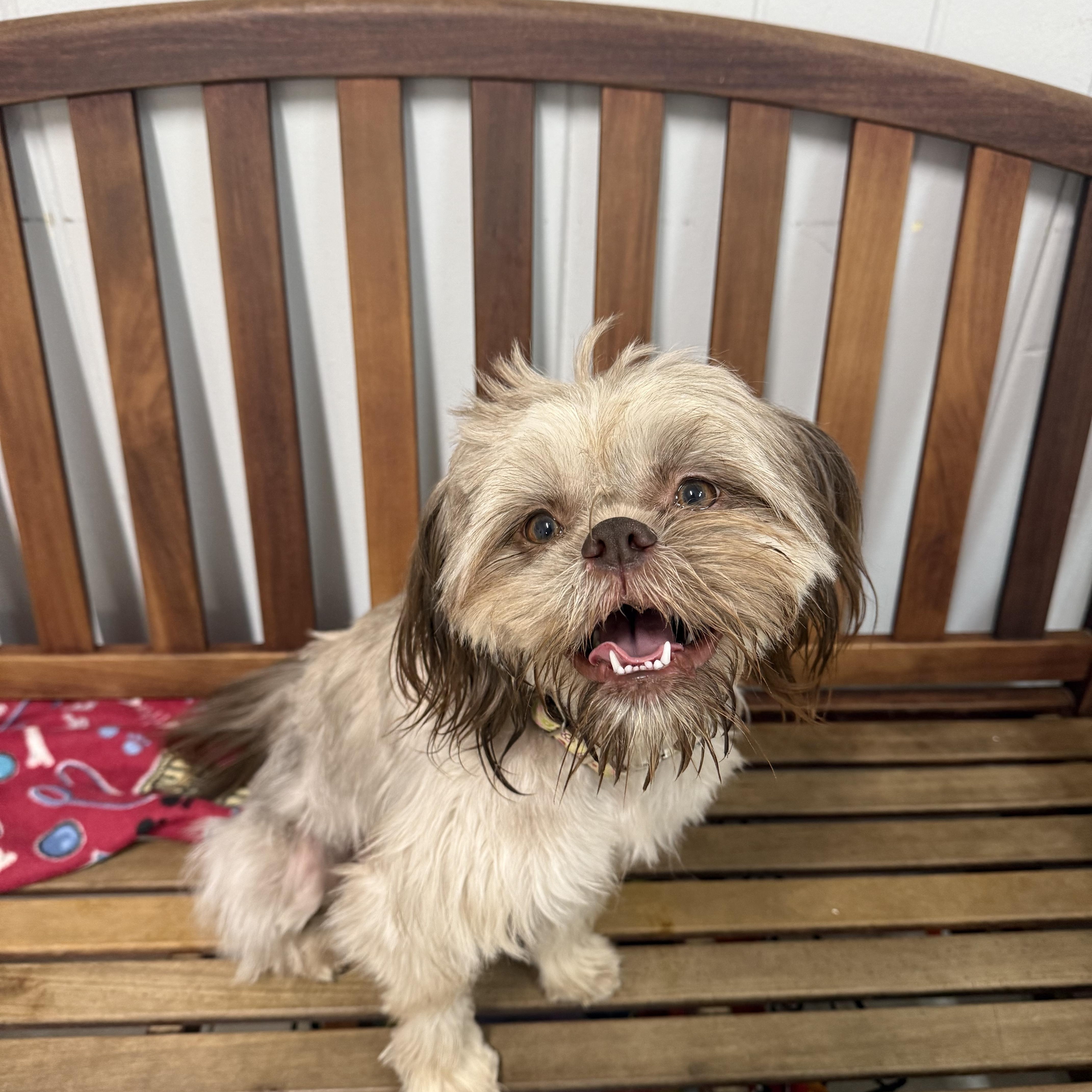 Coco
