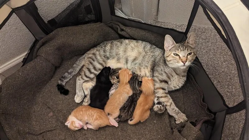 Margarita thumbnail 2