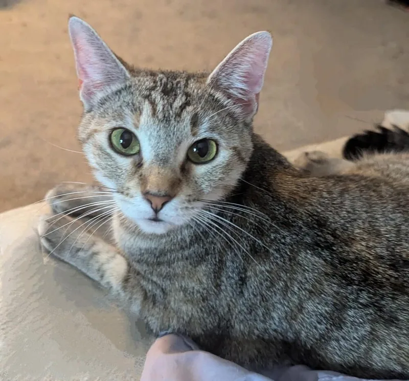 Margarita thumbnail 3