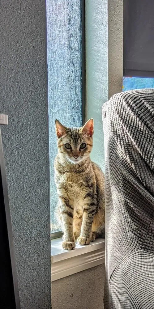 Margarita thumbnail 4