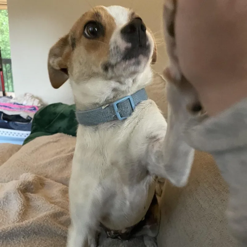 Molly thumbnail 4