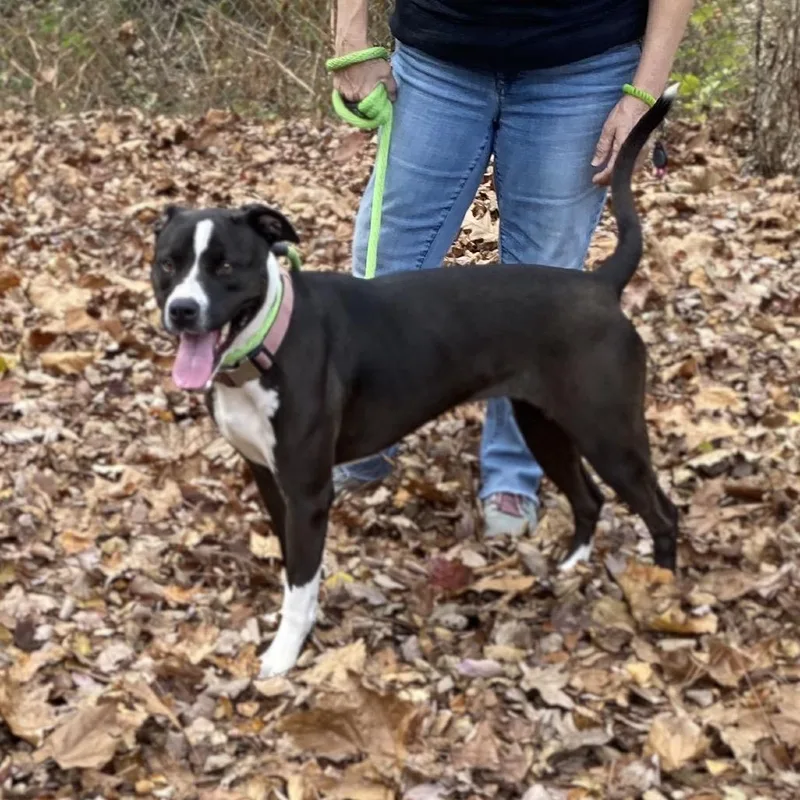 Marley Mae thumbnail 2