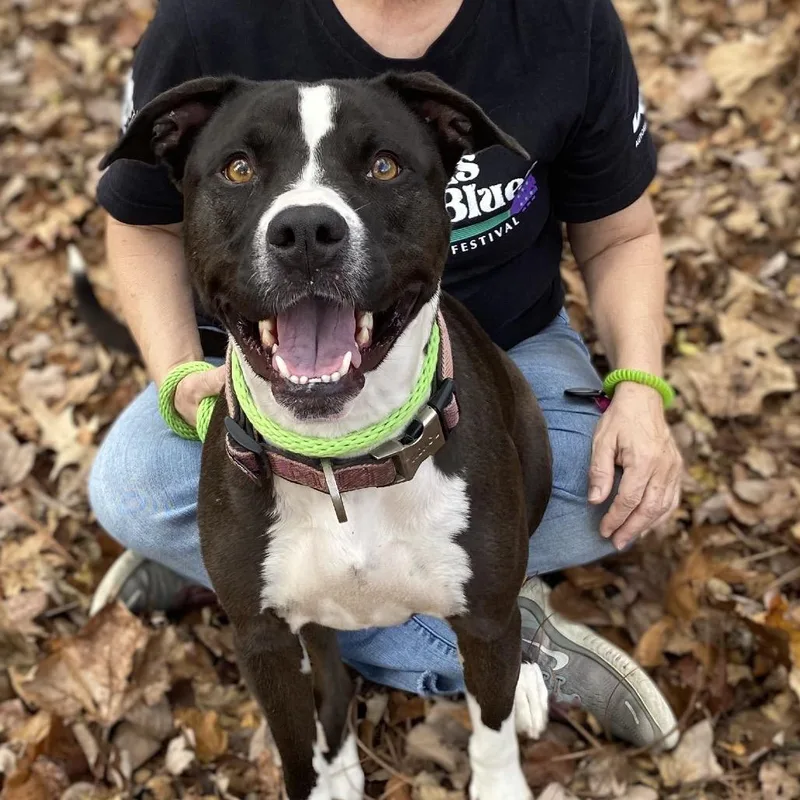 Marley Mae thumbnail 3