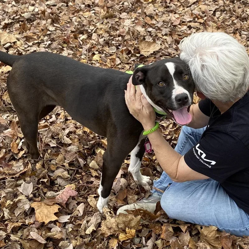 Marley Mae thumbnail 4