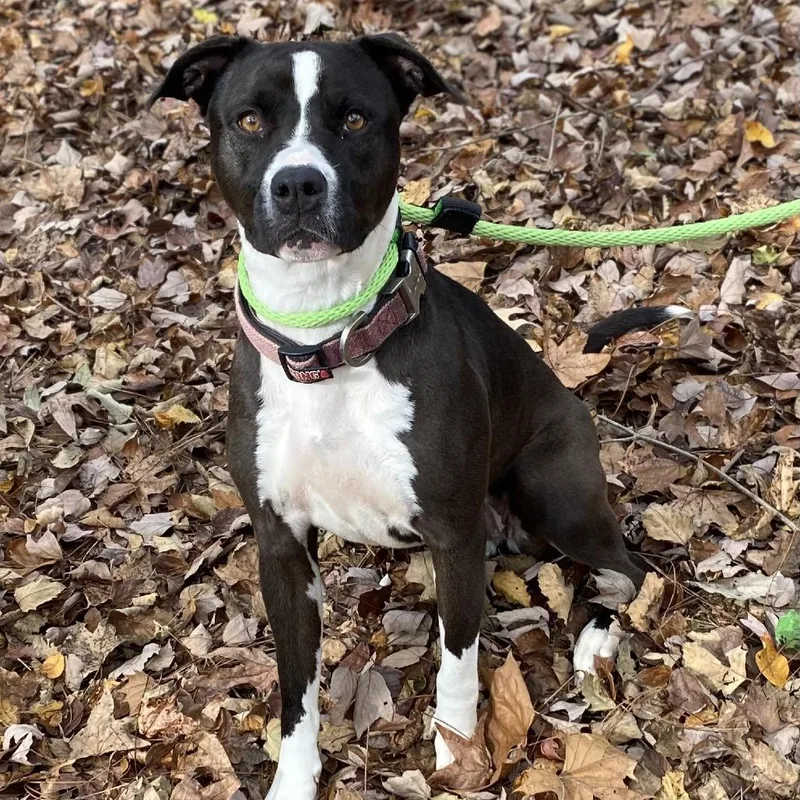 Marley Mae thumbnail 5