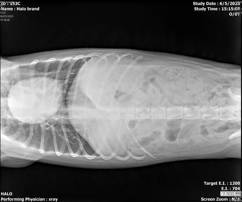 Brand  Rigby thumbnail 2