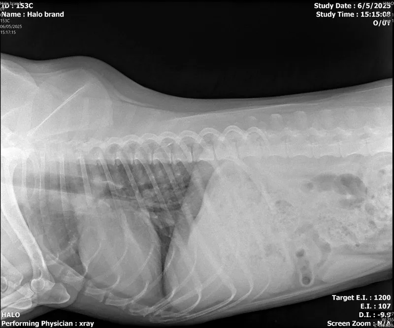 Brand  Rigby thumbnail 3