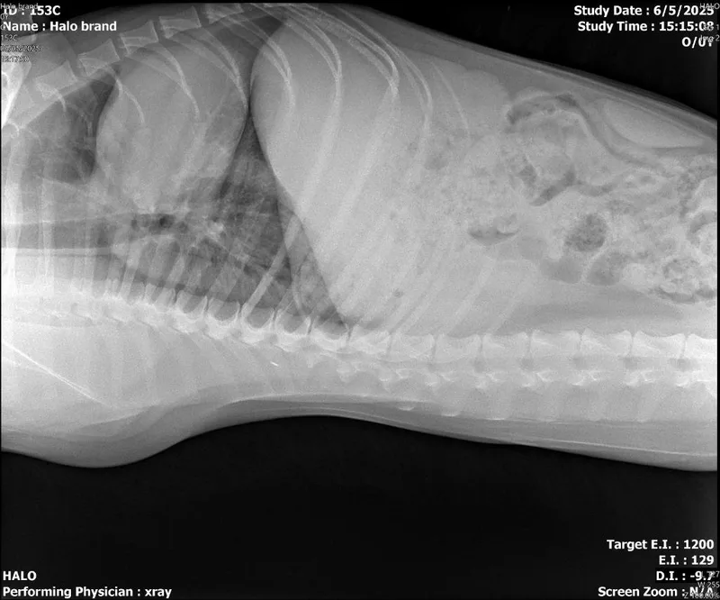 Brand  Rigby thumbnail 5