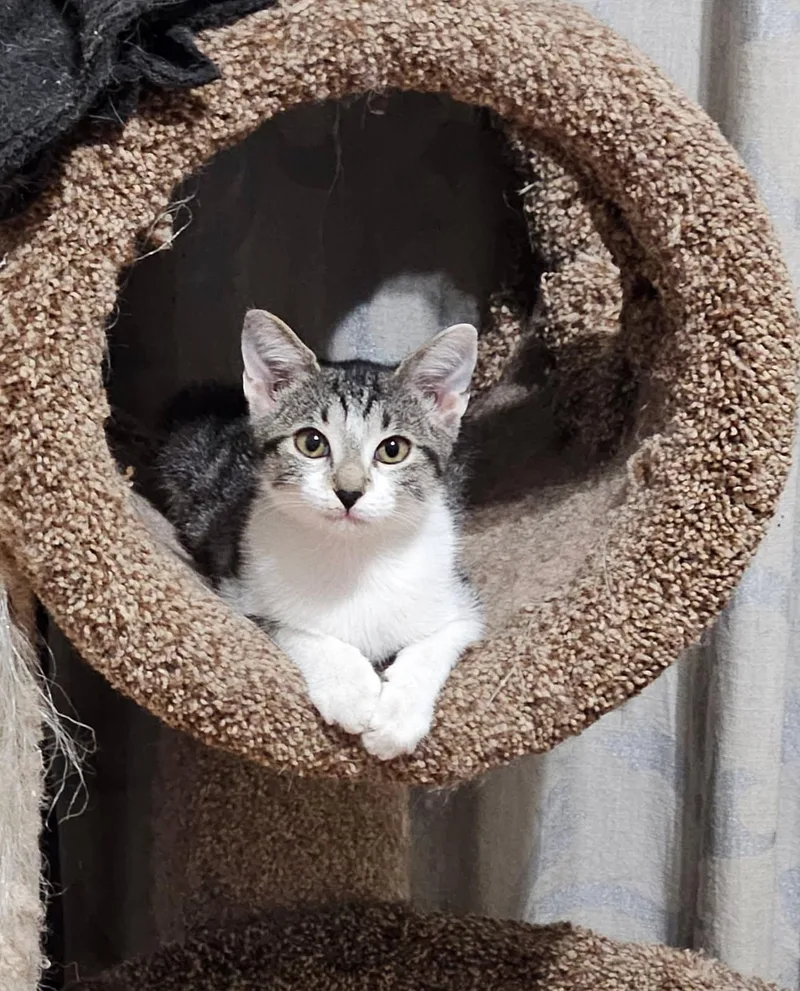 Wynonna  Wy To thumbnail 2